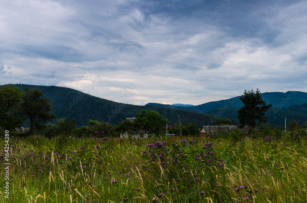 Obraz premium Carpathian mountains landscape in Ukraine in the summer season in Yaremche