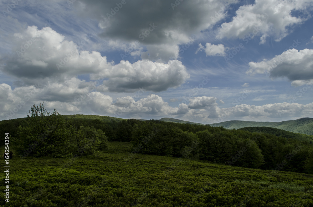 Bieszczady 