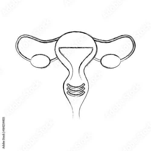 Female reproductive organ icon vector illustration design