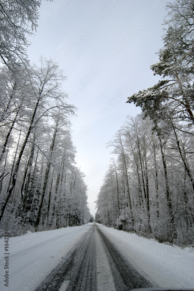 Winter road Winter road