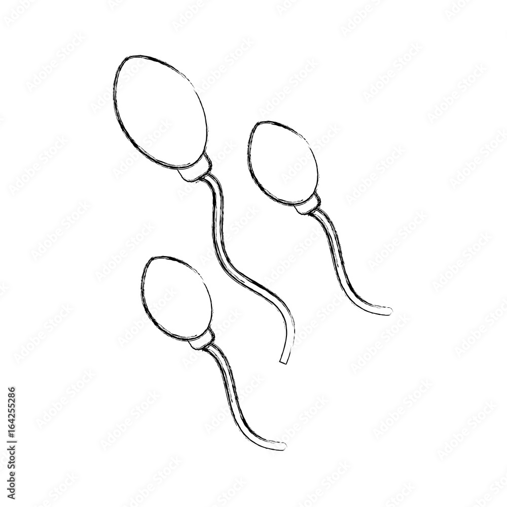 Fototapeta premium Fertilization by the spermatozoon vector illustration design
