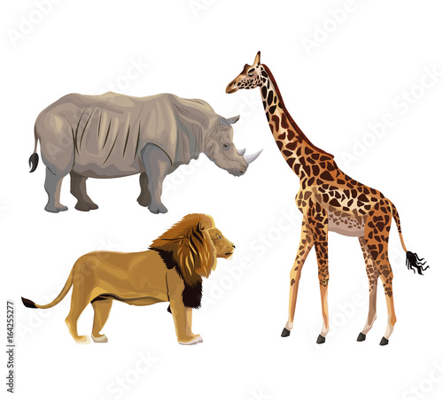 white background with set realistic colorful wild african animals