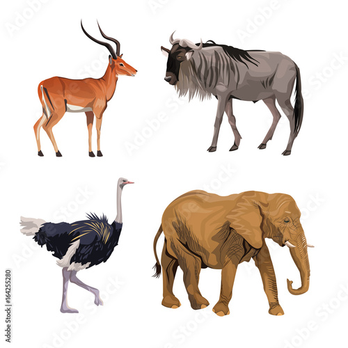 white background with realistic colorful wild african animals