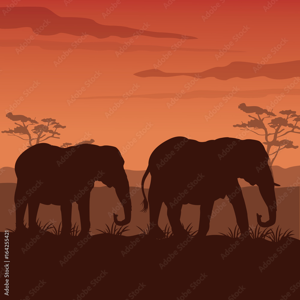 color sunset scene african landscape with silhouette elephants walking
