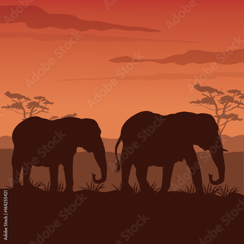 color sunset scene african landscape with silhouette elephants walking