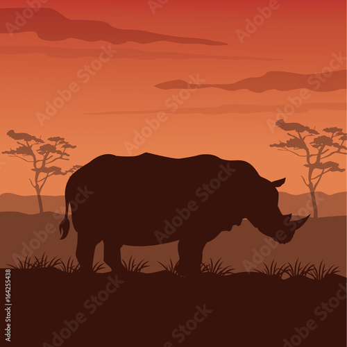 color sunset scene african landscape with silhouette rhino standing © Jemastock