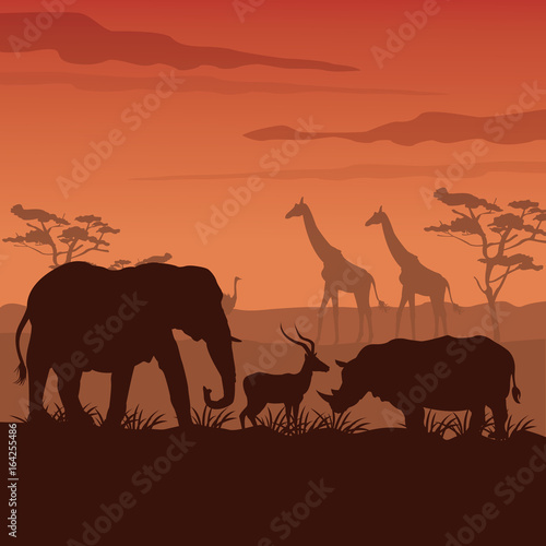 color sunset scene african landscape with silhouette wild animals