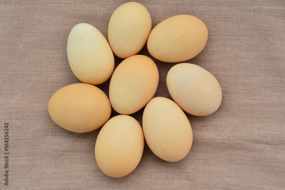Egg laying On brown sack background. Egg laying On brown sack background.
