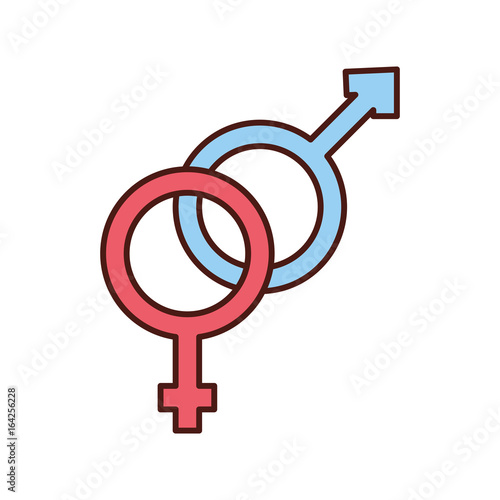 male and female symbol vector illustration design