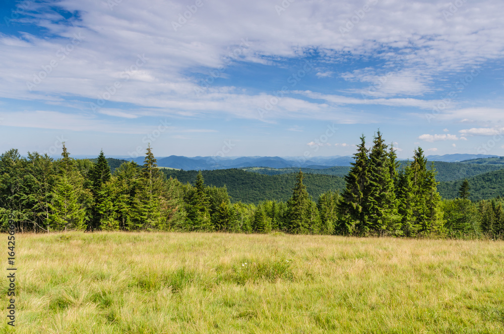 Carpathian mountains landscape in Ukraine in the summer season in Yaremche