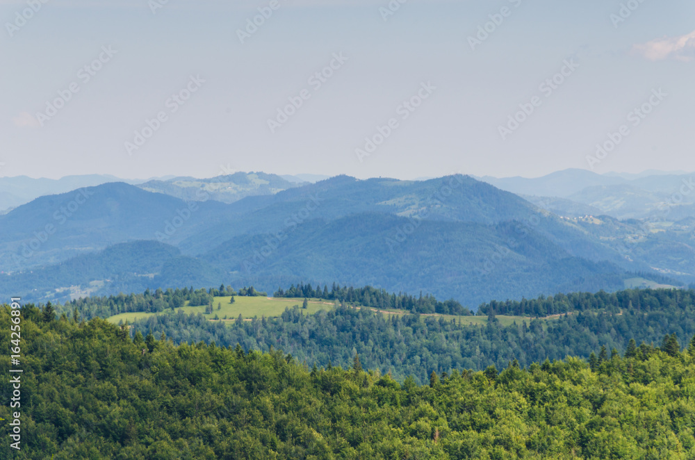 Obraz premium Carpathian mountains landscape in Ukraine in the summer season in Yaremche