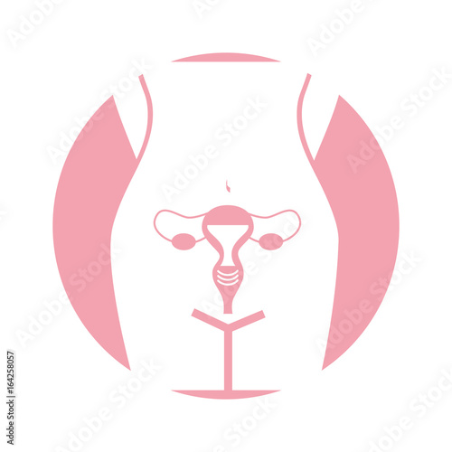 Female reproductive organ icon vector illustration design