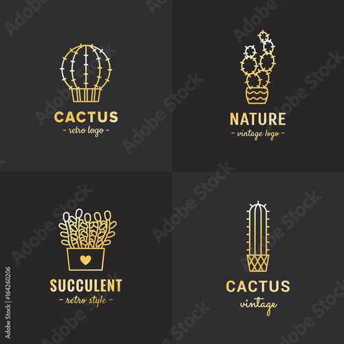 Succulents and cacti gold vector set. Part four.