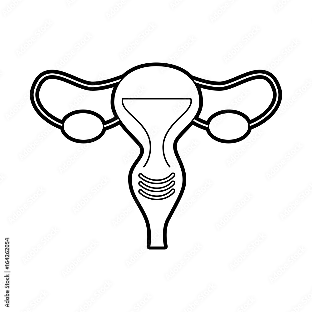 Female reproductive organ icon vector illustration design Female reproductive organ icon vector illustration design