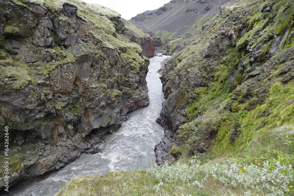 nature in hiking the laugavegur trail in Iceland