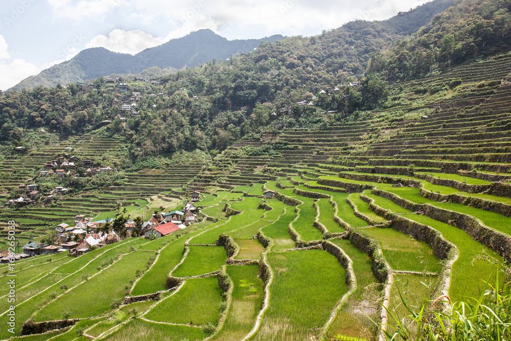 Batad rice field terraces in Ifugao province, Banaue, Philippines