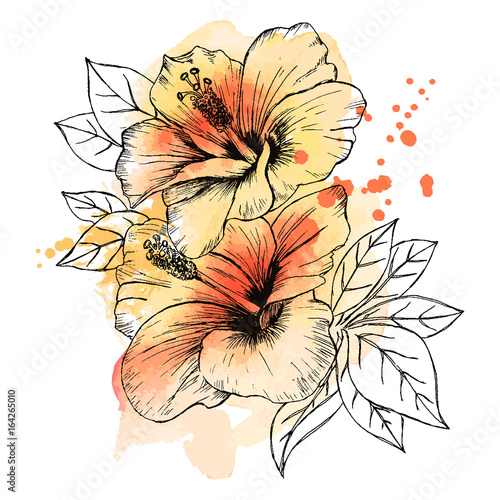 A bouquet of tropical Hibiscus flowers. Hand drawn sketch. Texture background watercolor effect. Vector illustration isolated on white background. A template for the design.
