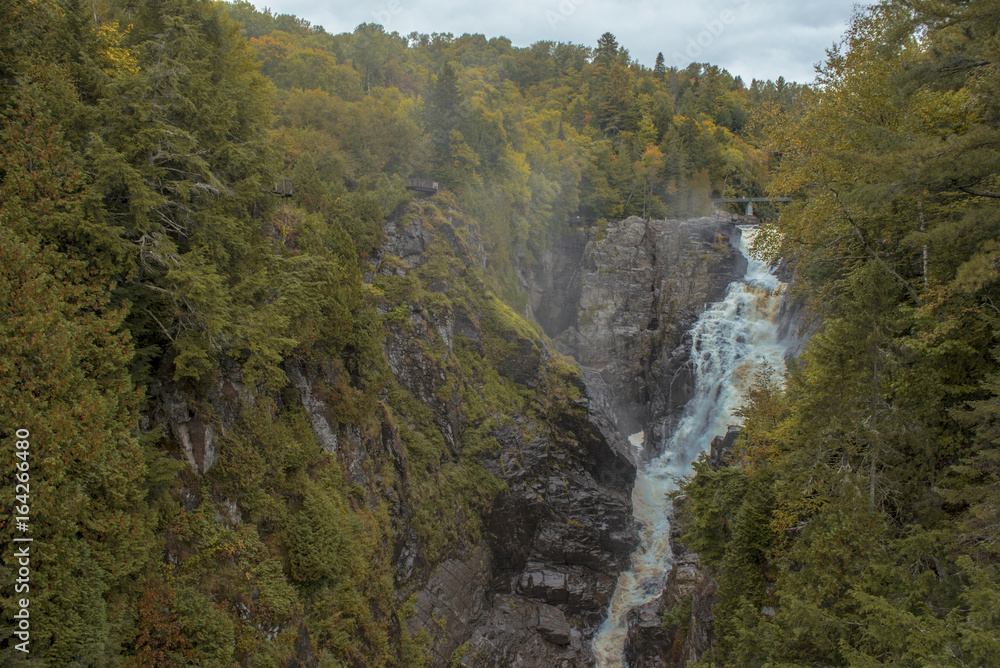 Canada Forest /waterfall Canada Forest /waterfall