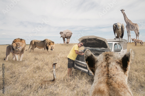 Photography surrounded by wild animals