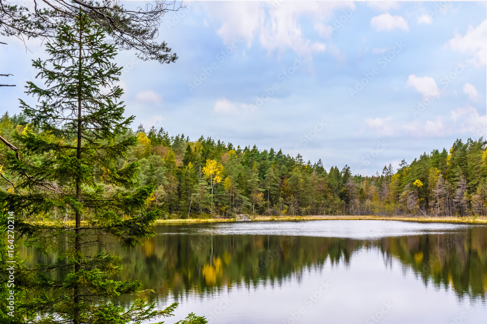 A forest lake in Tyresta National Park, Sweden