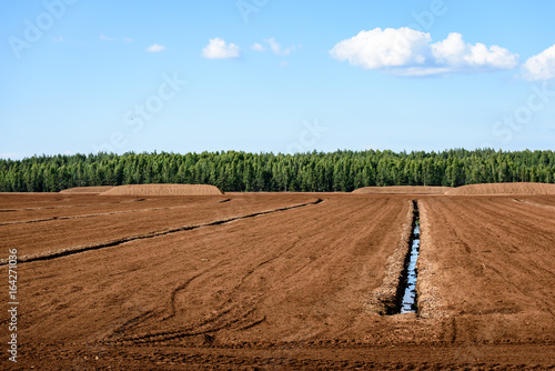 bog and the field on which the production is carried out in black peat mining