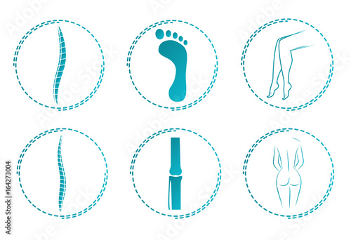 Icon set for orthopedist. Orthopedic logos. Illustration of the spine and joints. the human body