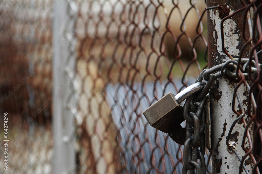 Obraz premium The metal mesh gate is closed and locked with a key. See inside