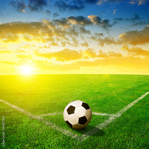 Soccer ball on green grass in the sunset. © vencav