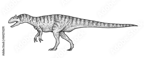 Allosaurus illustration, drawing, engraving, ink, line art, vector