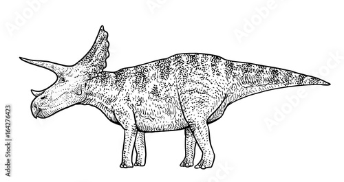 Triceratops illustration, drawing, engraving, ink, line art, vector