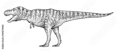 Tyrannosaurus illustration, drawing, engraving, ink, line art, vector