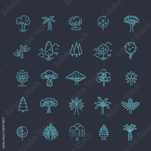 Set of Tree shape Vector Line Icons