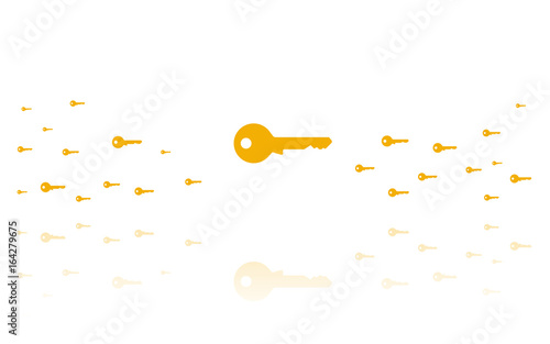 Schlüssel gold Reflektierend Weiss