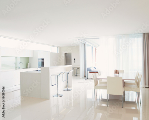 Contemporary Kitchen Design Interior. Luxury kitchen