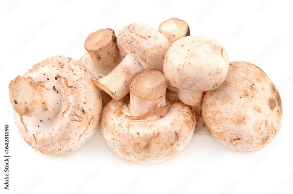 Mushrooms Mushrooms