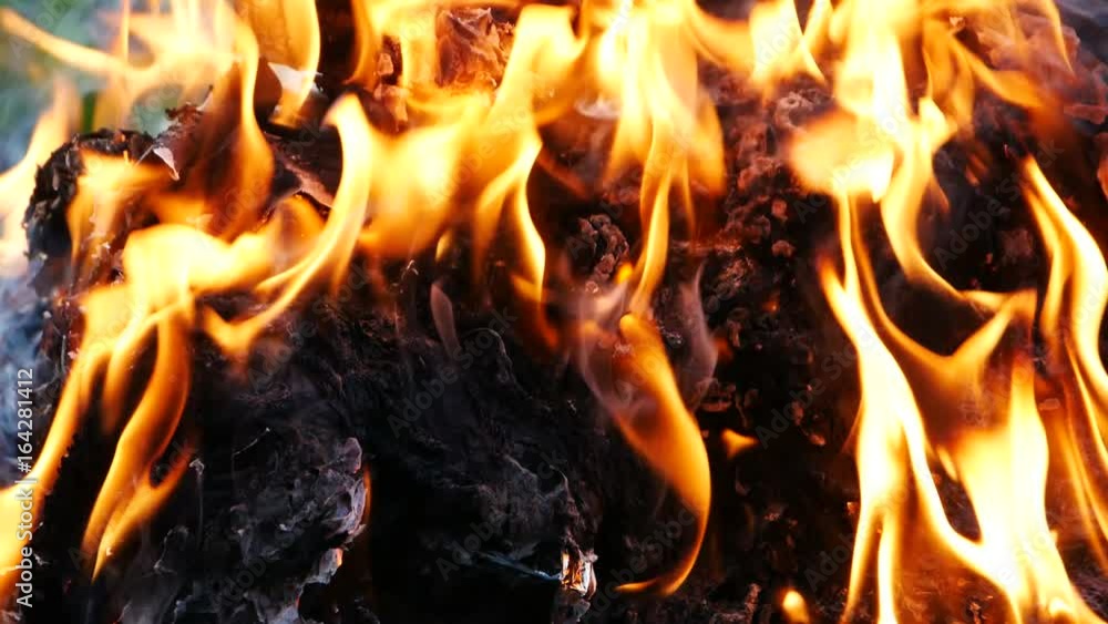 Close up to the burning fire burning garbage pile. Close up to the burning fire burning garbage pile.