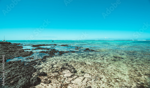 Meeresleben an der Küste mit blauem tropischen Wasser © JosephX