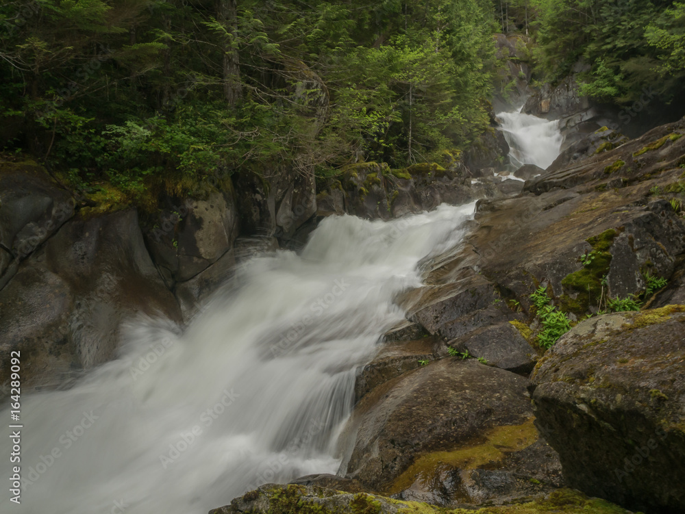 Naklejka premium Burnaboot Creek