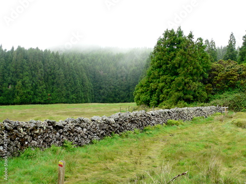 Wandern in den Nebel verhangenen Bergen der Insel Terceira,  Azoren, Portugal