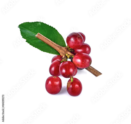 Red coffee beans isolated on white background