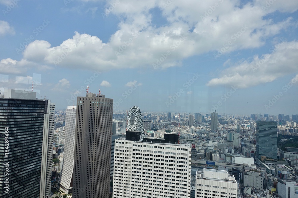 Obraz premium 東京展望