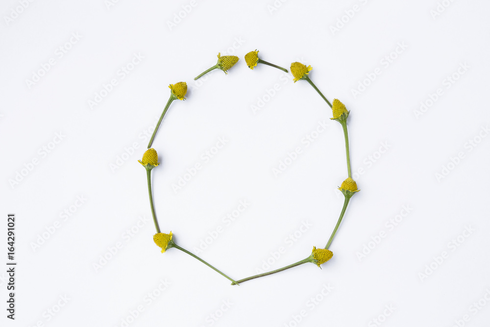 Fresh yellow flower frame arrangement isolate on white background, natural concept frame Fresh yellow flower frame arrangement isolate on white background, natural concept frame