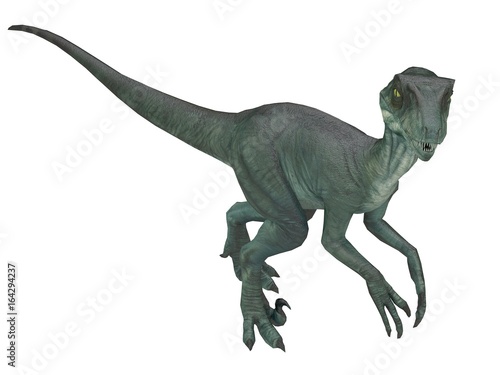 grey velociraptor - dinosaur - 3d rendering