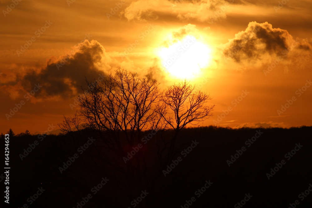Fototapeta premium Coucher de soleil