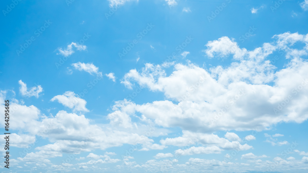Fototapeta premium 青空・雲