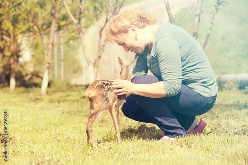 Elderly woman playing with baby fawn in the garden    © 2207918