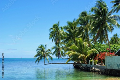 lagon de Moorea (Polynésie)