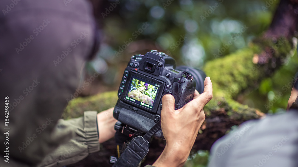 Fototapeta premium Taking A Nature Landscape Photography