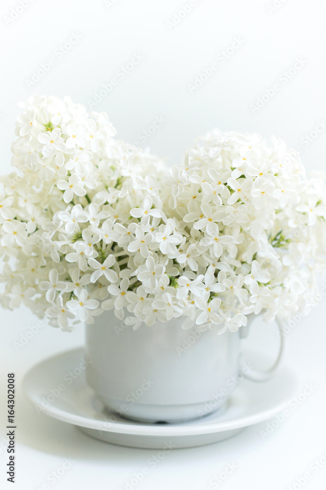 Cup with lilac on white background
