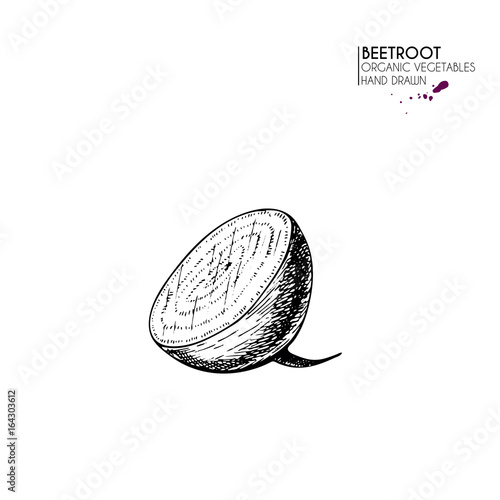 Vector hand drawn set of farm vegetables. Isolated half beetroot. Engraved art. Organic sketched vegetarian objects.